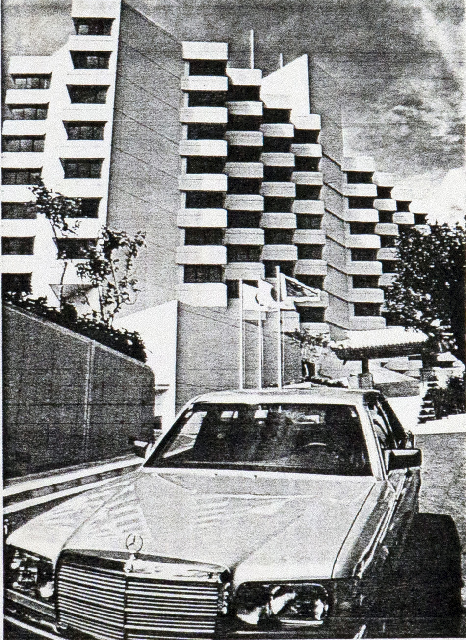 David Willis coral sculpture